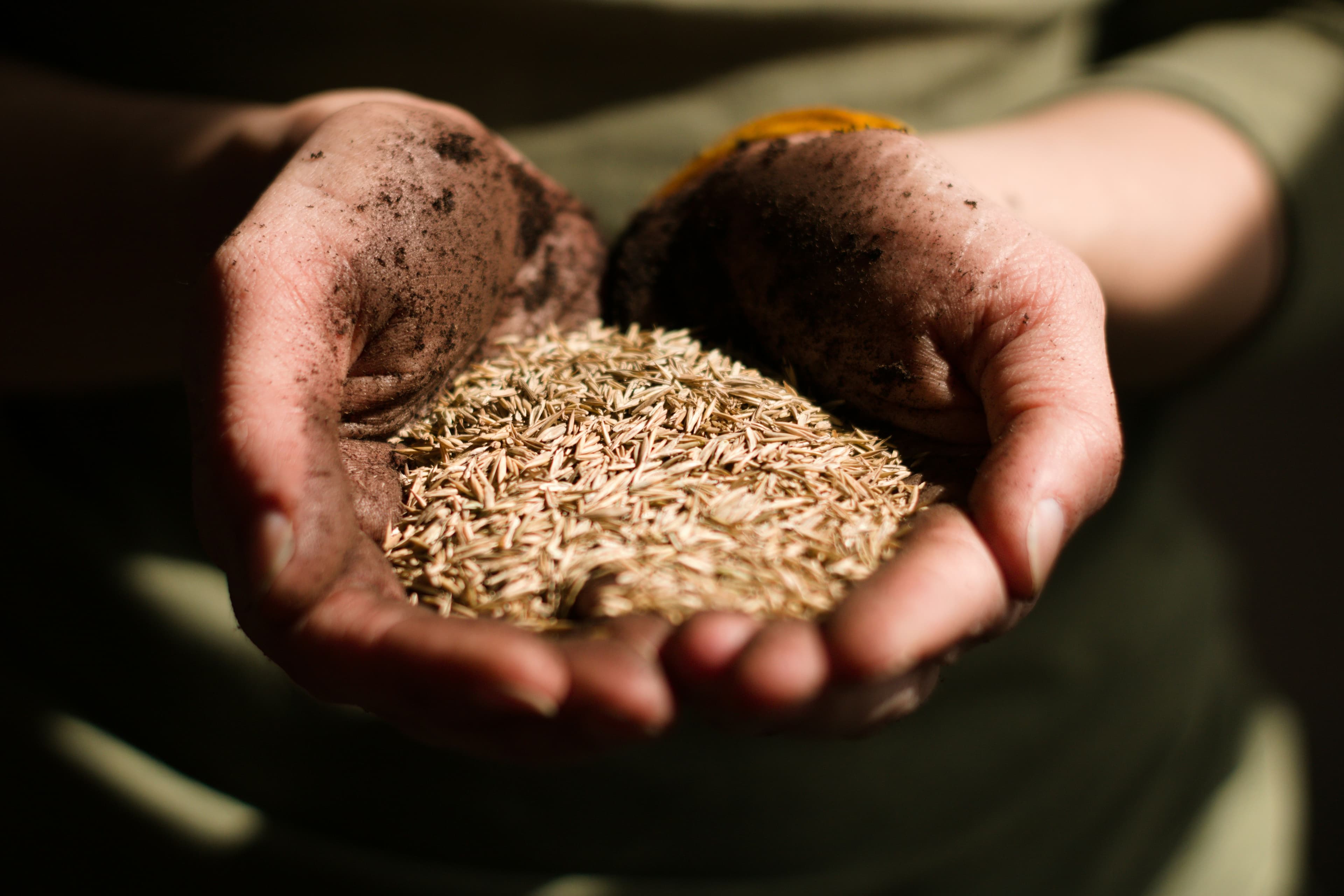 Collectif local construisant un projet agricole dans un paysage diversifié