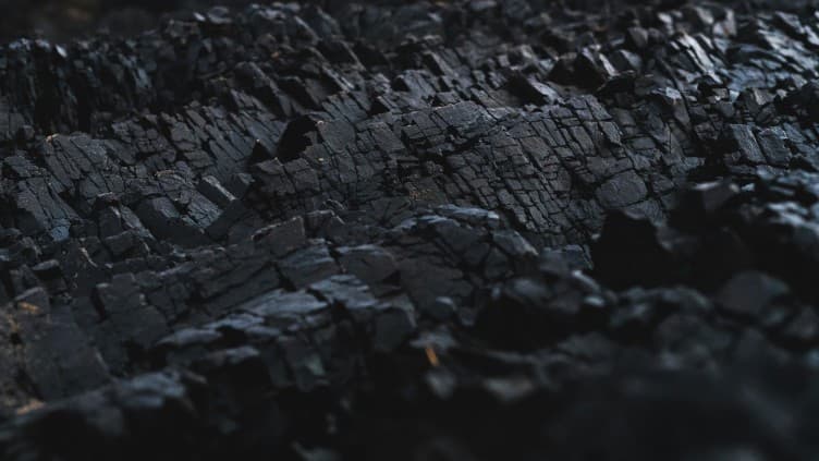 The Carbon removal gamble