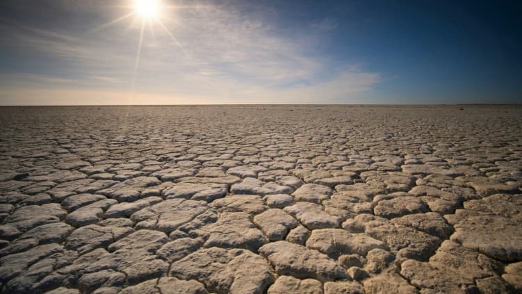 Basculement El Niño en 2026 : un test de résistance systémique pour l’agriculture mondiale